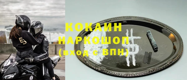 прущие грибы Алзамай