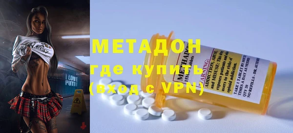 индика Сосновый Бор