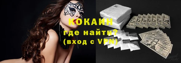 индика Сосновый Бор