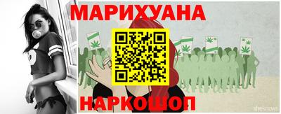крисы Будённовск