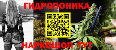 крисы Будённовск