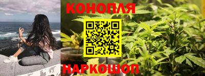 крисы Будённовск
