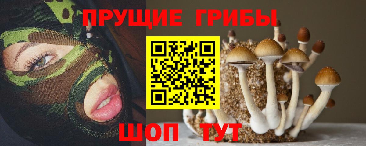 Галлюциногенные грибы GOLDEN TEACHER Беслан